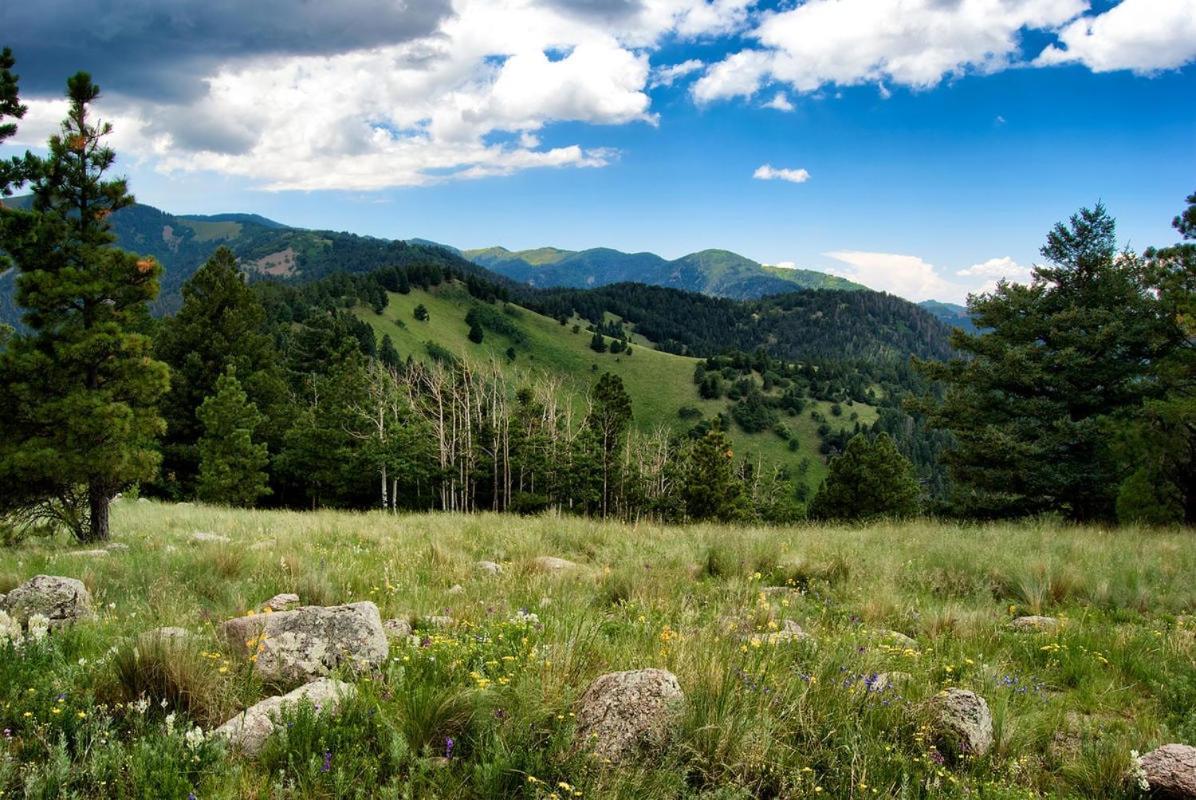 Oso Blanco Villa Ruidoso Bagian luar foto